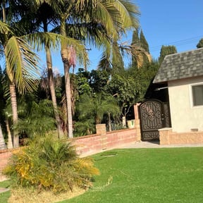 Long Grass Cleanup by Scott Bensing Lawn Care reviewed on August 18, 2025