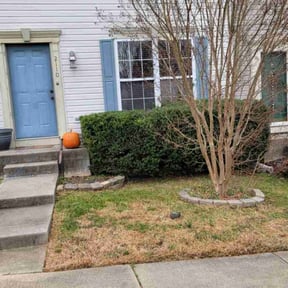 Bush Trimming by Green Hands Landscaping reviewed on August 15, 2025