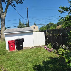 Bush Trimming by Gill Billie Landscaping reviewed on July 10, 2026