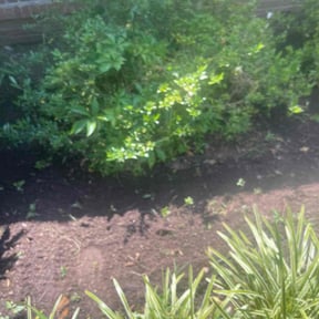 Flower Bed Weeding by Lubbock Lawn Barber reviewed on August 18, 2025