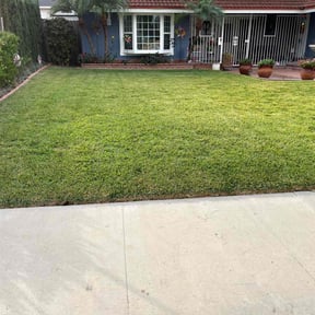 yard maintenance by Taylor's property maintenance reviewed on August 15, 2025