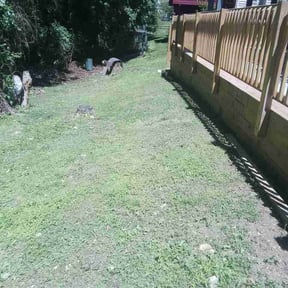 Bush Trimming by Bluelands landscaping reviewed on May 15, 2026