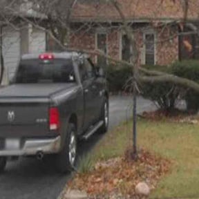 Bush Trimming by Contreras Outdoors reviewed on August 17, 2025