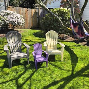 yard work by Soundview Lawn Care reviewed on August 19, 2025