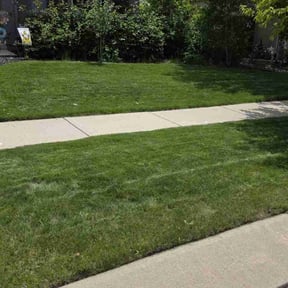 yard maintenance by Caliber Lawn and Garden reviewed on August 18, 2025