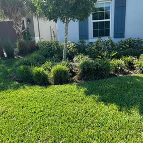 landscaping services by Blue Lagoon Lawn Service reviewed on August 15, 2025