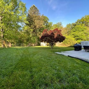 yard maintenance by Caesar’s Premier Landscaping reviewed on August 17, 2025