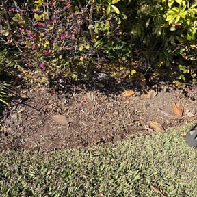 Flower Bed Weeding by J&amp;W Lawn Care reviewed on February 23, 2026