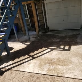 Leaf Removal by This &amp; That reviewed on September 13, 2025