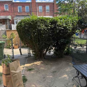 Bush Trimming by AYS Lawncare reviewed on July 1, 2026