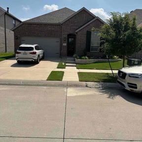 yard care by D&D All In One reviewed on August 20, 2025