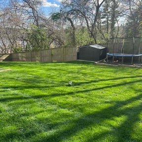 turf care by Text 2 Cut Lawn Care LLC reviewed on August 13, 2025