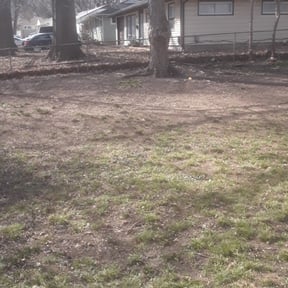 Leaf Removal by Pineda landscaping  reviewed on September 10, 2025