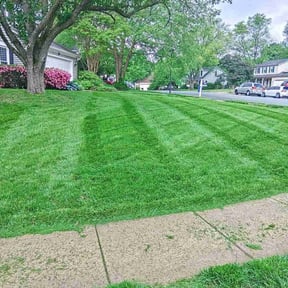 residential landscaping by Supreme Home Services reviewed on November 23, 2025