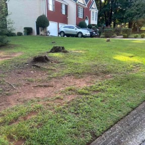 Flower Bed Weeding by Centeno Landscaping Services LLC reviewed on August 14, 2026