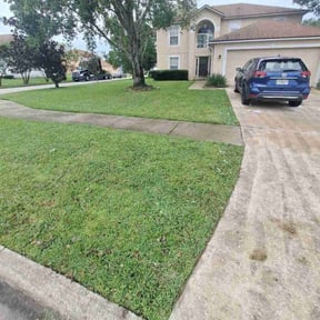 turf maintenance by MT Lawn Care reviewed on August 8, 2022