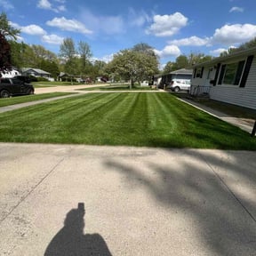 gardening service by Michael Shelton reviewed on August 20, 2025