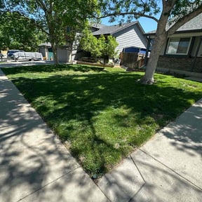 landscaping by Carroll lawns and maintenance reviewed on August 17, 2025