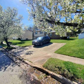 residential landscaping by LAID BACK LAWNCARE LLC reviewed on August 17, 2025