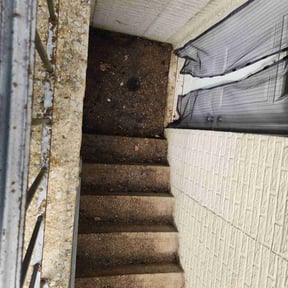 Leaf Removal by Jay&#039;s Property Management Lawn Tree Service reviewed on September 30, 2025