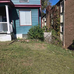 Bush Trimming by L&amp;M landscaping reviewed on December 19, 2025