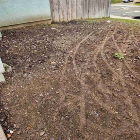 Leaf Removal by Colon Landscaping reviewed on September 21, 2025