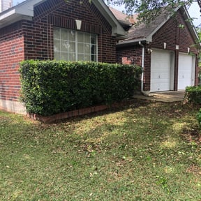 Bush Trimming by NuVu Lawn reviewed on August 20, 2025