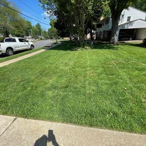 lawn maintenance by Hookers Junk Removal reviewed on August 21, 2025