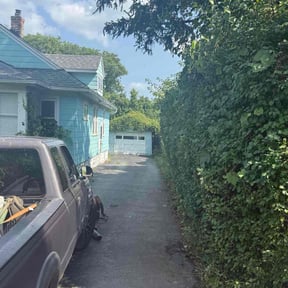 Bush Trimming by God first lawn service reviewed on October 22, 2025