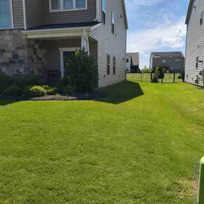 yard work by Jus Biznizz Landscaping LLC reviewed on August 18, 2025