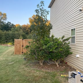 Bush Trimming by Daddy's Lawn Care reviewed on August 16, 2025