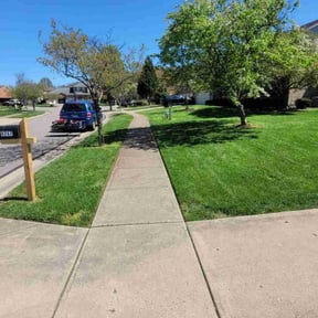 yard work by Phil's Lawn Care reviewed on November 26, 2025