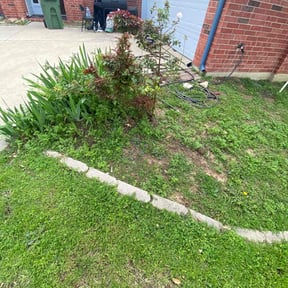 Bush Trimming by 5280 Lawn Care reviewed on August 19, 2025