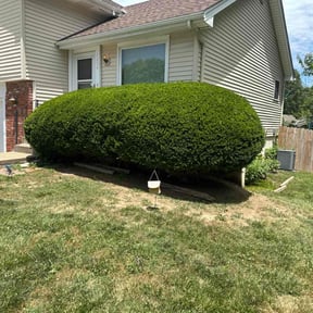 Bush Trimming by Armstrong's Lawn Care Plus reviewed on August 20, 2025