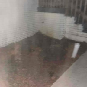 Leaf Removal by Robert Norton’s Lawn Care reviewed on February 19, 2026