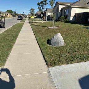 landscape maintenance by Harris Property Solutions LLC reviewed on August 21, 2025