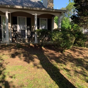Bush Trimming by Bert's Landscaping and Propery Mantienance reviewed on August 17, 2025
