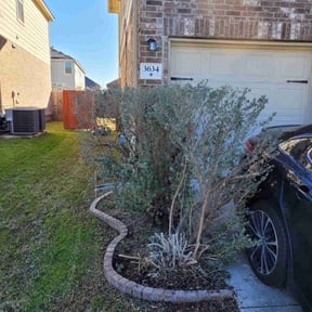 Bush Trimming by Greenworks Lawn & Landscape reviewed on August 20, 2025