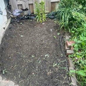 Flower Bed Weeding by Busy B's Landscaping reviewed on August 24, 2026