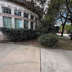 Bush Trimming by Beach cuts reviewed on March 22, 2026