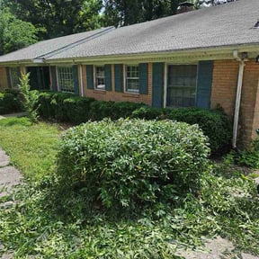 Bush Trimming by Stephen's Lawn Mowing reviewed on June 2, 2026