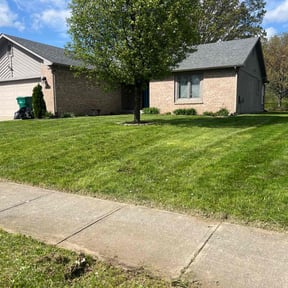 landscaping services by Oscar Bustos Llc reviewed on August 18, 2025