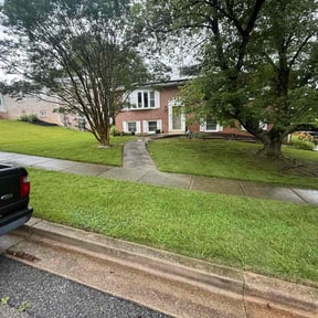 yard care by Elite Care reviewed on August 16, 2025