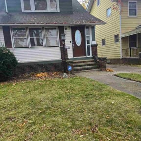 Leaf Removal by Tsafaridis Landscaping Construction reviewed on November 20, 2025