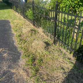 Bush Trimming by First Choice Property Solutions reviewed on August 20, 2025