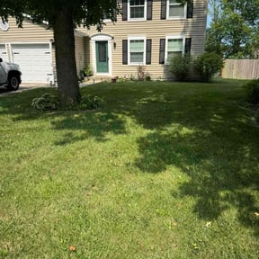 landscaping services by Contreras Outdoors reviewed on August 20, 2025