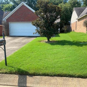 yard maintenance by Lomax Lawns reviewed on August 18, 2025