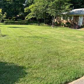 yard work by Fathers N Sons Lawn Care reviewed on August 20, 2025
