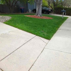 landscaping by Hartt handyman and pest service reviewed on August 15, 2025