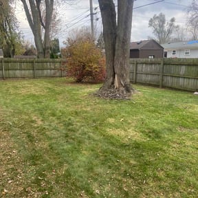 Leaf Removal by Southern maintenance and Landscaping reviewed on November 24, 2025